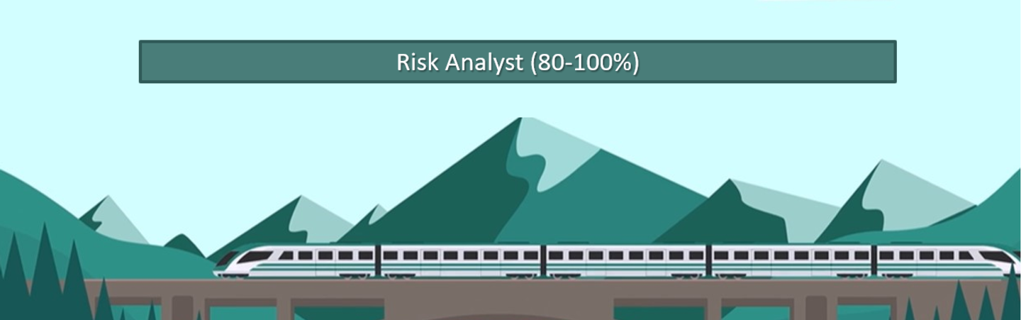 We are hiring - Risk Analyst (80-100%)