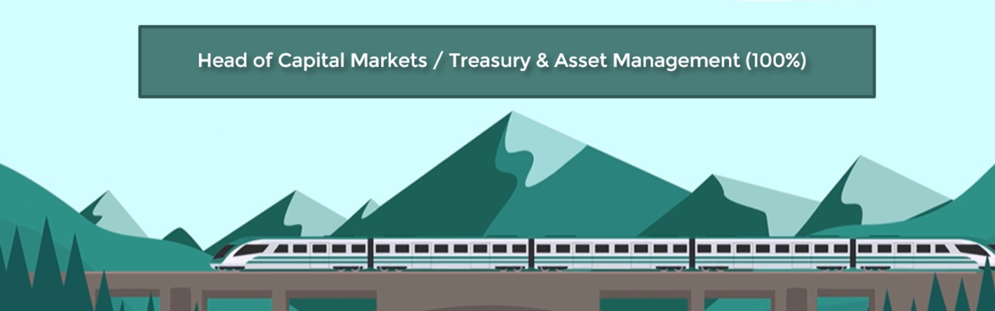 We are hiring - Head Capital Markets / Treasury & Asset Management (100%)